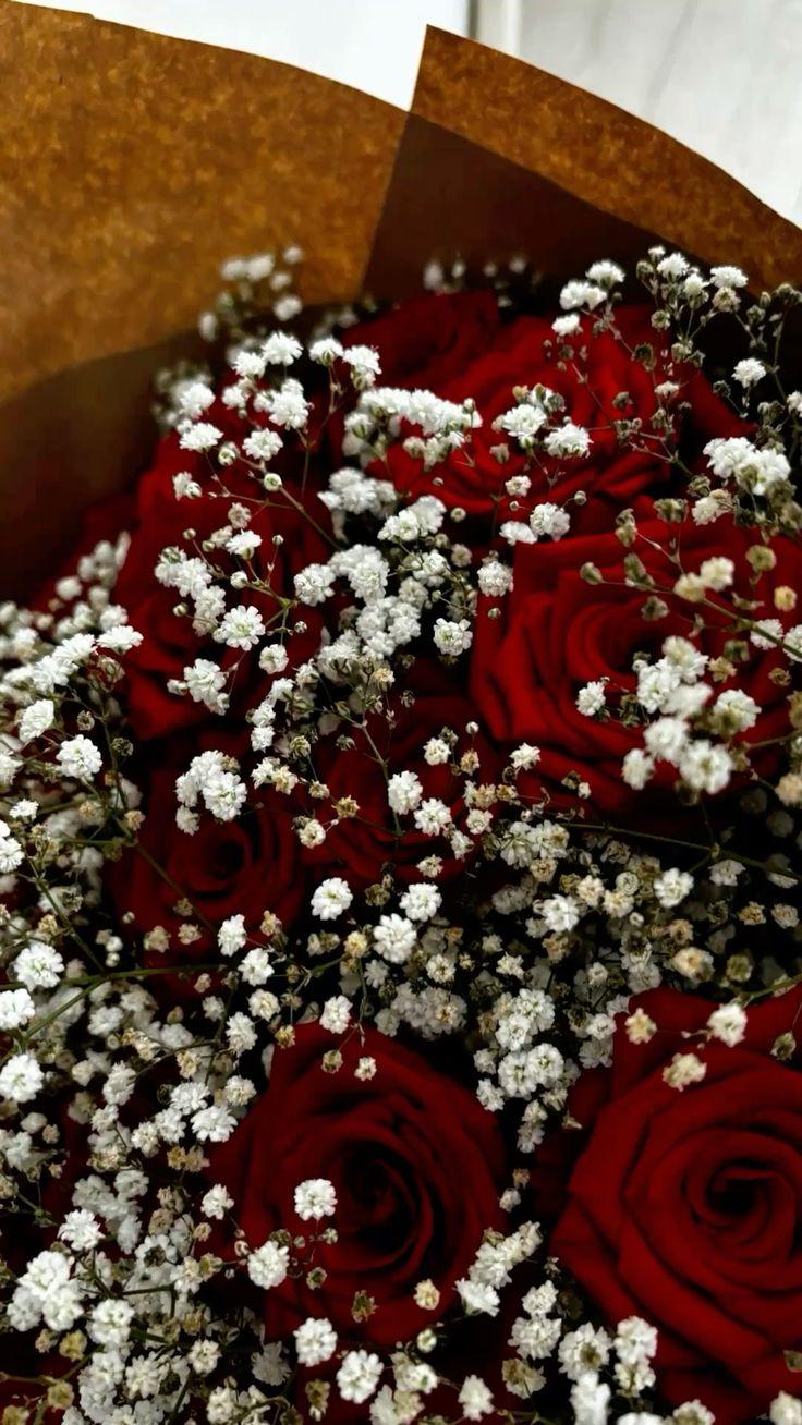 Enchanted Twilight: Velvety Petals of Mystery